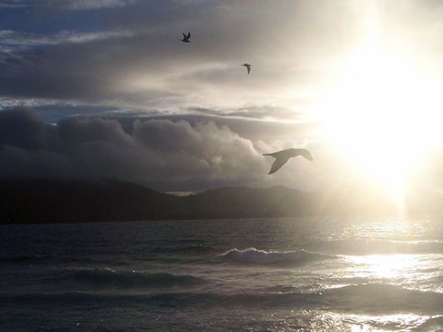 Vistas-Cousin-017
