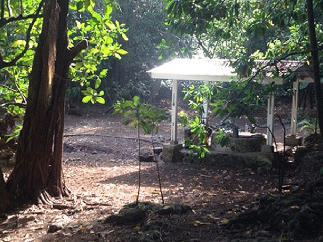 waterpump-1