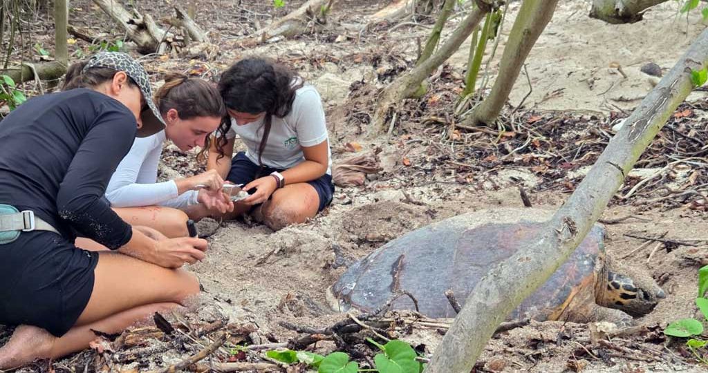 federica-my-time-on-cousin